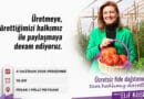SAFRANBOLU’DA ATA TOHUMUNDAN ÜRETİLEN FİDELER ÜCRETSİZ DAĞITILACAK